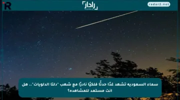 سماء السعودية تشهد غدًا حدثًا فلكيًا نادرًا مع شهب “دلتا الدلويات”.. هل أنت مستعد للمشاهدة؟